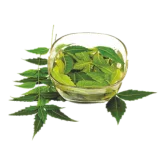 Neem