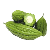 Bitter Gourd