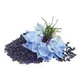 Black Seed