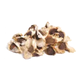 Moringa
