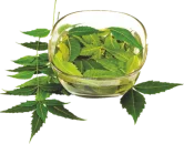Neem