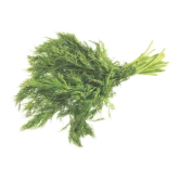 Fennel