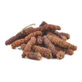 Pipli Chhoti